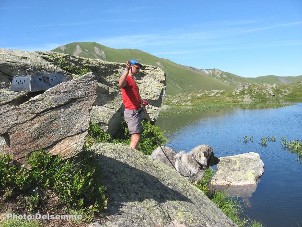 sarplaninac Gorstak 11 months