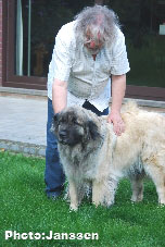 Sarplaninac Hajdi 3 years