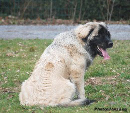 Hajdi 7 months