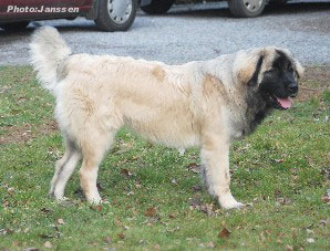 Hajdi 7 months