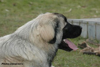 Hajdi 7 months
