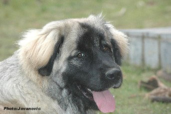 Hajdi 7 months