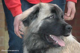 Hajdi 7 months