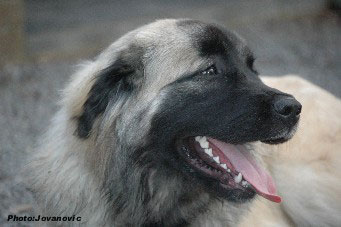 Hajdi 7 months