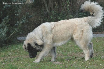 Hajdi 7 months
