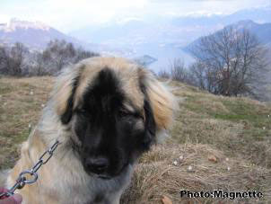 Hajdi 9 months