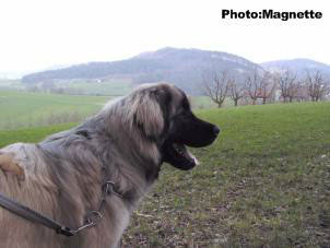 Hajdi 9 months