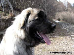 Hajdi 9 months