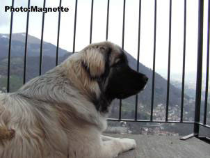 Hajdi 9 months