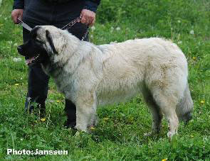 Hajdi 9,5 months