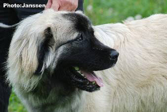 Hajdi 9,5 months