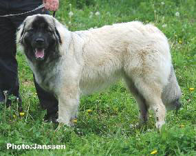 Hajdi 9,5 months