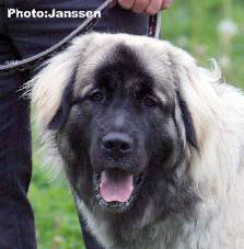 Hajdi 9,5 months
