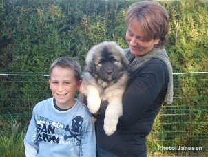 sarplaninac Hooker 2 months