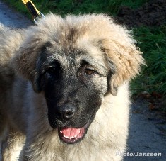 Hooker 4,5 months