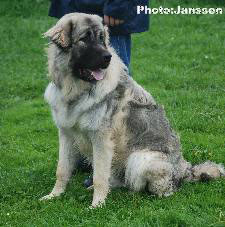 Hooker 9 months