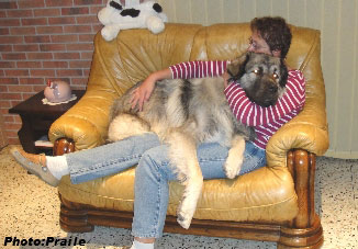 Hooker 16 months