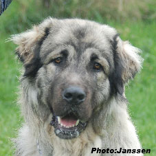 Hooker 16 months