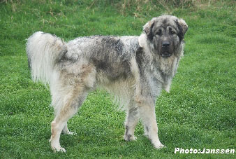 Hooker 16 months