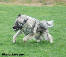 Hooker 16 months
