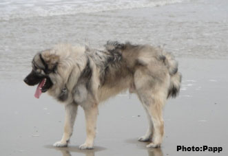 Hooker 16 months