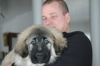 Jogi 3 months