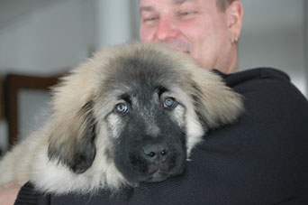 Jogi 3 months