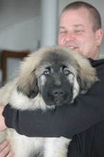 Jogi 3 months
