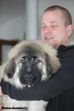 Jogi 3 months
