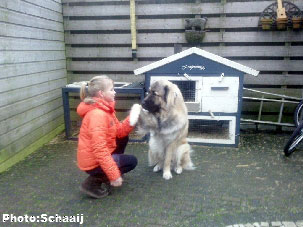 Jogi 15 months