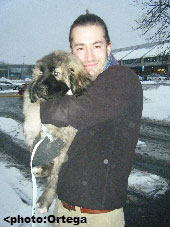 Sarplaninac Jovan 9 weeks