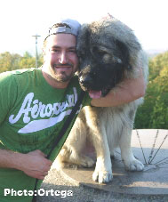 Sarplaninac Jovan 13 months