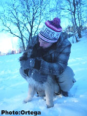 Sarplaninac Jovan 3,5 months