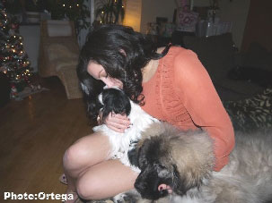 Sarplaninac Jovan 3,5 months