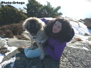 Sarplaninac Jovan 5 months