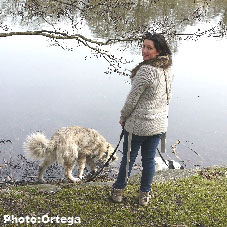 Sarplaninac Jovan 6,5 months