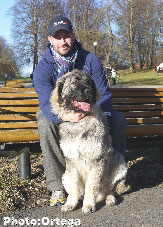 Sarplaninac Jovan 7 months
