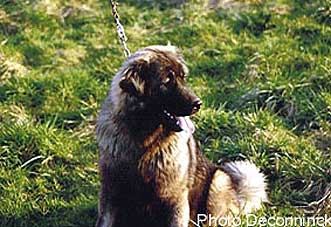 Liska 06/87