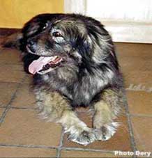 Odra 12 years