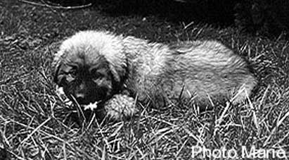 Slavka 02/95