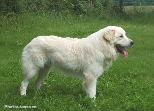 Zero Beli 18 months