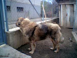 Wanda