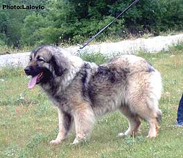 KLARA