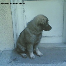 Bina 3,5 months