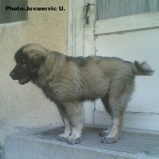 Bina 3,5 months