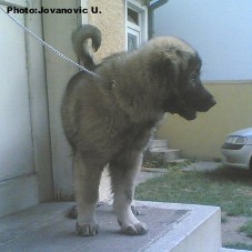 Bina 3,5 months