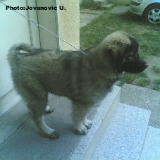 Bina 3,5 months